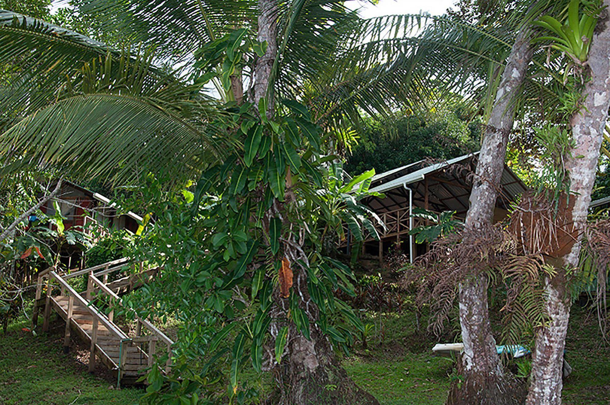 Pirate Cove Hotel Drake Bay Exterior photo
